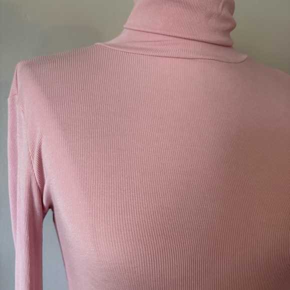 Sunday Best Pink Ribbed Freshman Turtleneck Aritzia Size S - Picture 5 of 8